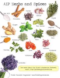 Aip Autoimmune Paleo Pantry List Download Pdf To Take Shopping Aip Autoimmune Paleo Autoimmune Paleo Aip