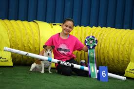 Need more help finding the right sport for you and your dog? Calling All Kids Dog Agility Isn T Just For Adults