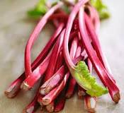Is rhubarb good for you? | BBC Good Food