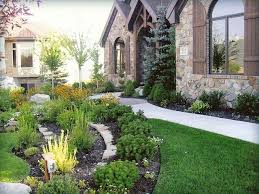 Mugo Pine In Landscaping Pine Garden Front Yard Garden Landscaping Inspiration