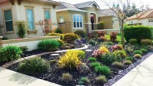 Is the drive wide enough for you to open your car door and get out without stepping on plants or grass? Front Yard Landscaping No Grass Tropical Landscaping Ideas