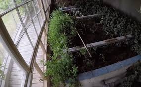 Check spelling or type a new query. Swedish Couple Builds A Greenhouse Around Their Stockholm Home Intelligent Living