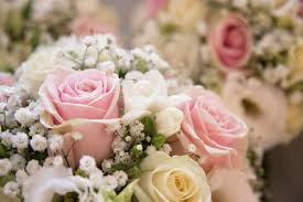 During the session, refreshments are provided by berry and brie. Flowers And Gifts Wild Frost Florist And Cafe