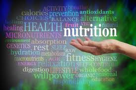 holistic nutrition from conception to
