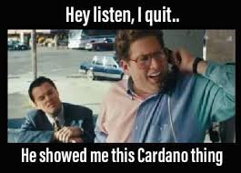 Hoskinson comment show the advantages of proof of stake over proof of work. Cardano Meme Posts Facebook