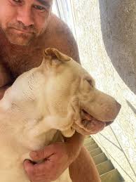 Worth a read. People speaking out and why you must always know where your  dogs are. Very very sad but glad this dirty of stuff is being aired