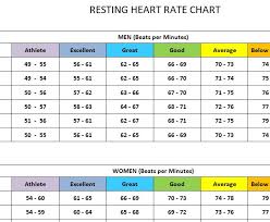 resting heartrate chart template haven