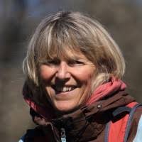 20+ "Kluth" profiles