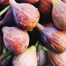 Memphis gardeners in the southwestern part of the state have up to eight months to enjoy their hobby. How To Grow A Fig Tree In Your Backyard Gardener S Path