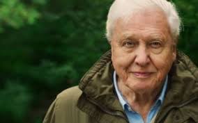 Crítica: 'Páradais', Fernanda Melchor