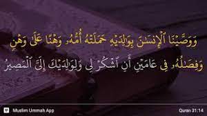 Setelah luqman memerintahkan agar menunaikan haknya dengan cara meninggalkan perbuatan syirik yang diantara konsekuensinya adalah lainnya: Surah Luqman Ayat 14 Qs 31 14 Tafsir Alquran Surah Nomor 31 Ayat 14