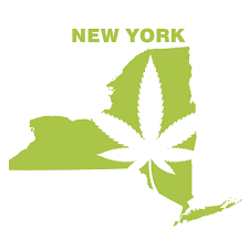 To obtain a medical marijuana card in new york, you must be a legal resident of the state of new york with authentic identification as a proof of residency. How To Get A New York Medical Marijuana Card Online