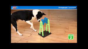 Of course, you still want to spend play time with your canine pal, but these toys give your dogs the opportunity to solve problems on their own. 19 Of The Best Interactive Puzzles And Games For Your Bored Dog