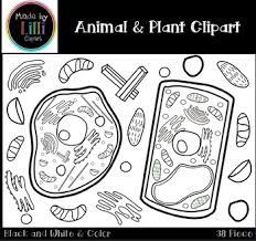 Maybe you would like to learn more about one of these? Animal Cell And Plant Cell Clipart Science Clipart Stem Clipart