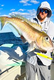 Deep Dropping for Gold