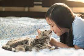 Do Cats Recognize Their Owners Does Your Cat Recognize You