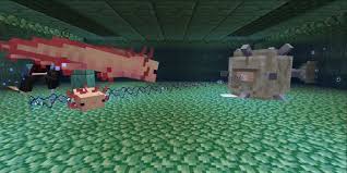 More images for blue axolotl on minecraft » Where To Find New Axolotls In Minecraft What They Re For