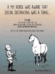 The Idea Of Order Social Distancing According To Your Horse Funny Animal Jokes Horse Quotes Funny Funny Horse Memes