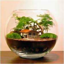 Mini Bahce Teraryum Nasil Yapilir Terraria Terrarium Bitki