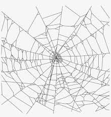 Also spiderman web png available at png transparent variant. Spider Web Png Clipart Realistic Dinosaur Spider Web Png Transparent Background 1024x1024 Png Download Pngkit