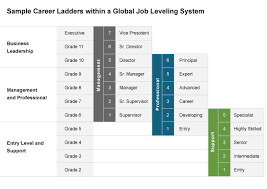 Global Job Leveling At Radford A Tailor Made Approach For Companies Driven By Innovation Job Job Title Hierarchy