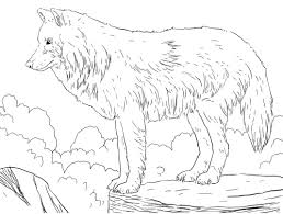 Free coloring page wolf pusat hobi. Arctic Snow Wolf Coloring Page Free Printable Coloring Pages For Kids
