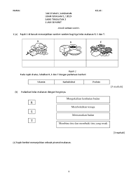 Himpunan rpt kssm tingkatan 3 2019 semakan gurubesar my. Ujian Bulanan Sains Tingkatan 2 Kssm