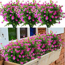 We did not find results for: Amazon Com Yxyqr 8 Pack Uv Resistant Outdoor Artificial Flowers Bulk Faux Plastic Plants Outside Indoor Fake Hanging Greenery Shrubs Arrangement For Backyard Window Box Porch Home Patio Decoration Fushia Home