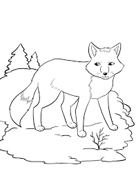 Fox Coloring Pages For Kids Fox Coloring Page Animal Coloring Pages Coloring Pages Winter