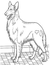 Aber natürlich ist malen nach zahlen nicht nur ein spaß für die großen! Ausmalbild Collie Zum Ausdrucken