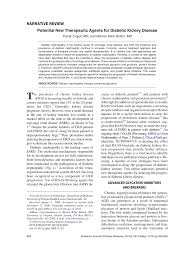NARRATIVE REVIEW Potential New Therapeutic Agents for Diabetic Kidney  Disease