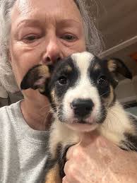 Book signing event in Woodstock