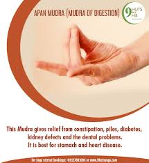Apan Mudra Mudra Of Digestion How To Do It To Do This Mudra Bend The Ring And Middle Fingers And Touch The Tip Of The Mudras Hand Mudras Yoga Techniques