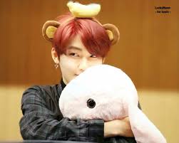Kevin The Boyz Boy Groups Kevin Dinosaur Stuffed Animal