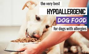 5 Best Hypoallergenic Dog Foods What To Feed A Dog With Allergies