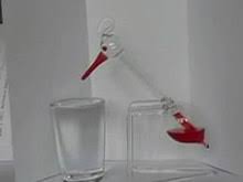 Drinking Bird Wikipedia Little live pets bird and cage toy review. drinking bird wikipedia