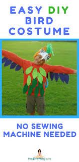 Bird Costume For Kids Super Easy Diy Bird Costume Mind Over Messy Bird Costume Bird Costume Kids Diy Costumes Kids