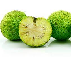 Each devil fruit deals different. Using Hedge Apples To Repel Spiders Thriftyfun