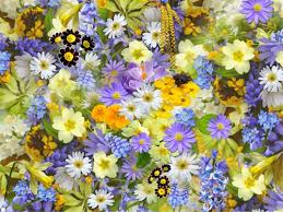 Sent directly from top local florists! Phoolwala Blog Read Blog On Online Flower Delivery Send Flowers Gift Online