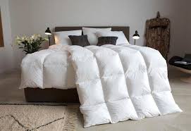 Gansedaunenbettdecke Glamour Centa Star Normal Fullung 100 Gansedaunen Bezug 100 Baumwolle 1 Tlg Online Kaufen Otto In 2020 Daunendecke Decke Bett