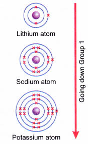 Oxygen lithium and potassium are both elements similar to those of sodium, because they are both in the same period as sodium. Physical And Chemical Properties Of Group 1 Elements A Plus Topper