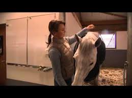 Des vestes de concours, des chemises de concours, des pantalons d'équitation et du sportswear qui s'adapte à la vie équestre comme à la ville. Penelope Leprevost Babelio