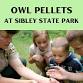 Owl Pellets at Sibley State Park