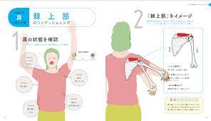 棘上筋 きょくじょうきん のコンディショニング 世界一ゆる い解剖学教室 棘上筋 解剖学 コンディショニング