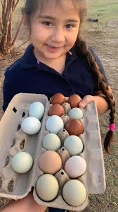 Is anyone selling vegetable or fruit plants?