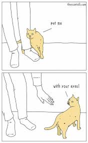 Try Not To Laugh Challenge Funny Cats And Dogs Try Not To Laugh Challenge Funny Animal Cats And Dogs Fails Compilation Funny Cats Animal Memes