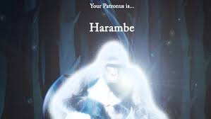 That being said, she held an essential role through the middle chapters of the franchise. Harry Potter Findet Euren Patronus Auf Pottermore