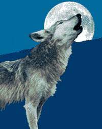 Share the best gifs now >>> Howling Wolf Gifs Get The Best Gif On Giphy