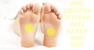 Maybe you would like to learn more about one of these? Wong Sregep Wongsregep ×˜×•×•×™×˜×¨