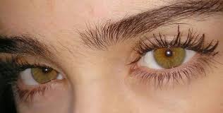 Want More Follow Pinterest April Insane I Don T Own This Photo Fotos De Ojos Color De Ojos Ojos Ambar